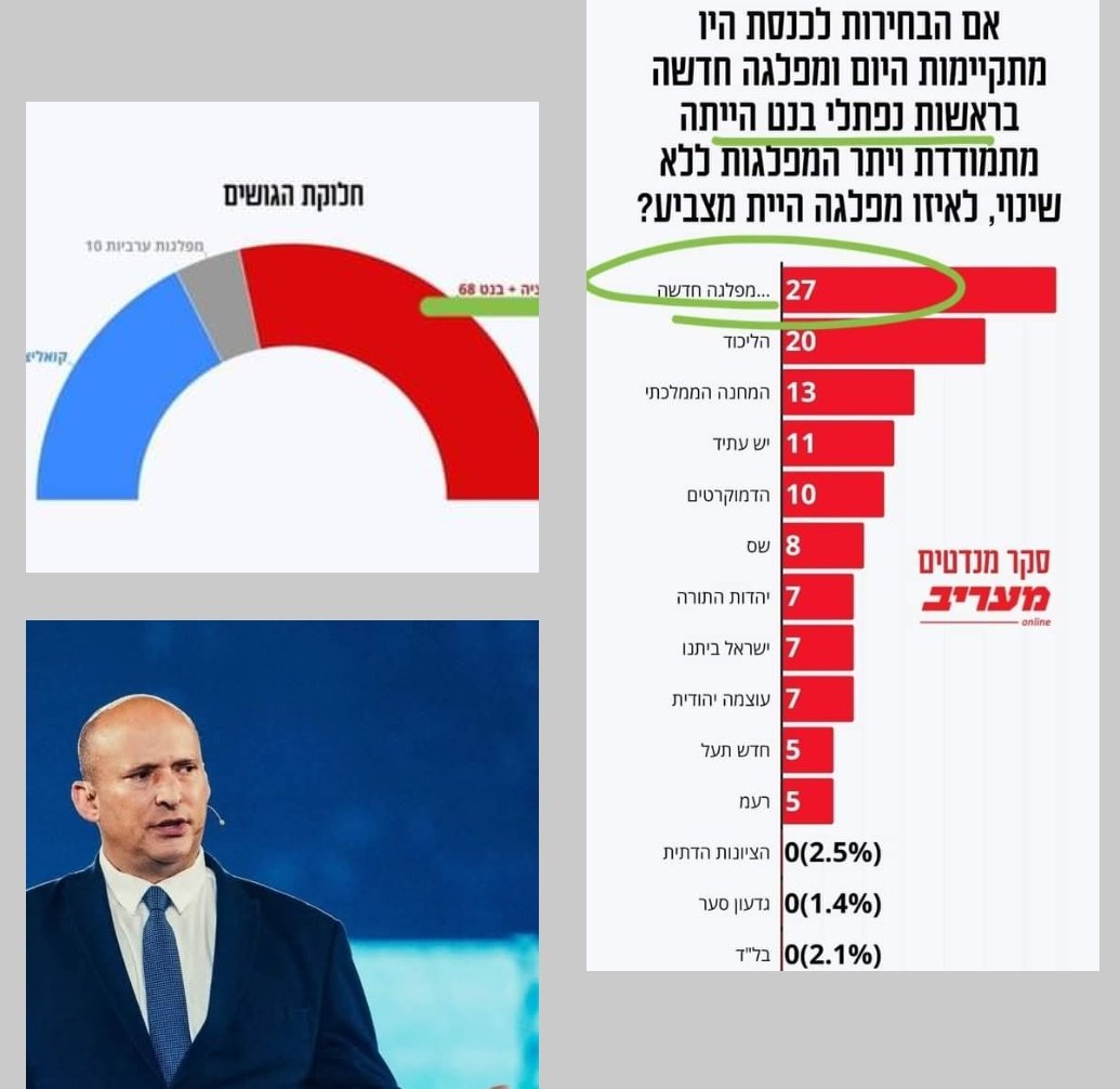 קרן הראל tweet media