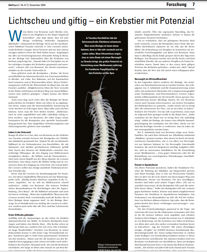 ProLOEWE's tweet image. Thema➡️UNI REPORT🗞️Für Björn v.@BReumont ist die Frage spannend, wie+wann #Gene für #Giftproteine entstanden sind. Das erfordert Analysen ihres #Erbguts. Mit seiner eh. Gruppe „Tiergifte“ bei @LOEWE_TBG @jlugiessen sowie🧑🔬👩🏽🔬@Senckenberg konnte er d. Genom bereits entschlüsseln!⤵️