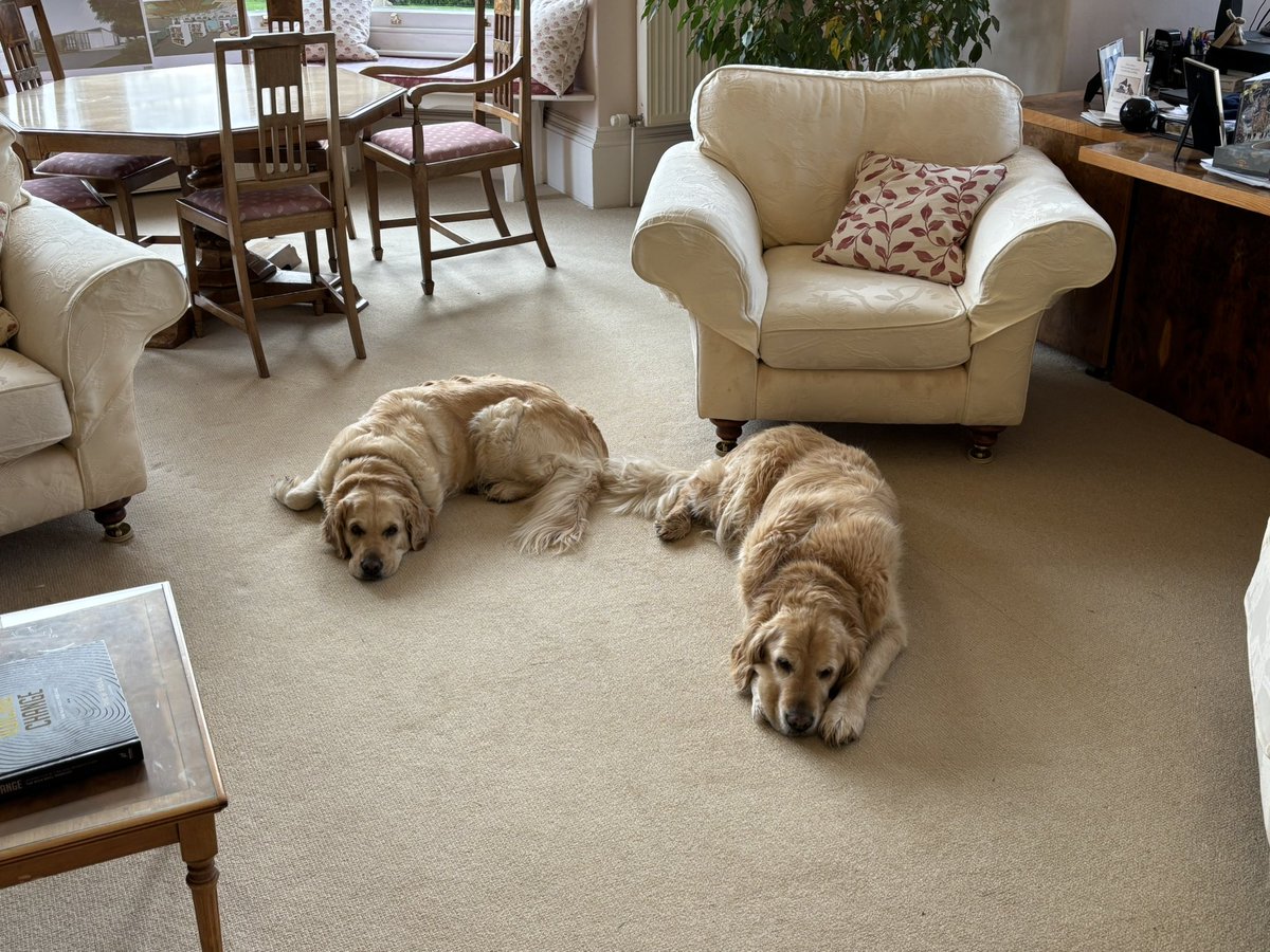 Humphrey and Parsnip certainly look like they need the end of term here <a href="/MillfieldPrep/">Millfield Prep</a> - good job it’s today then!