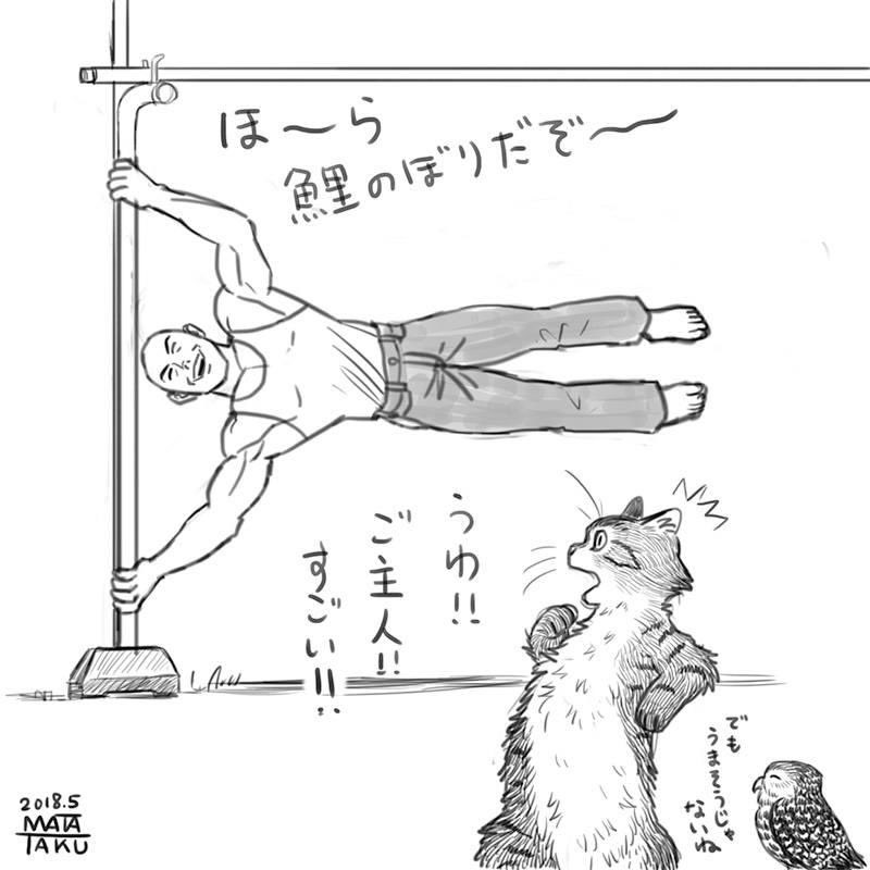 猫フク 鯉のぼり をpixivに投稿しました

https://t.co/5LLIIusPl2 