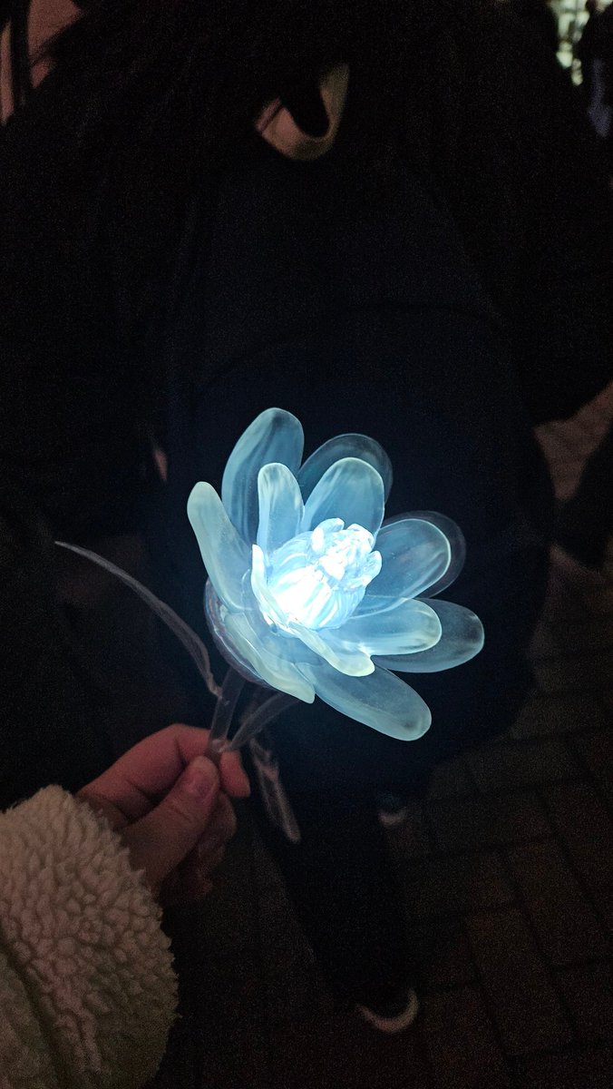가자 희망의 꽃아