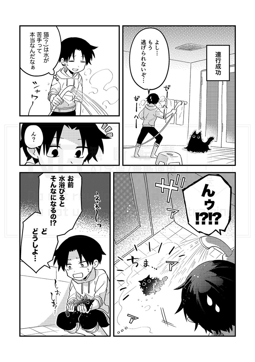 猫のような何か(3/3) 