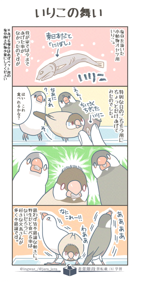 いりこ(煮干し)は大体の文鳥さんがすきですが、野生の状態では食べないものなので我が家では塩分を抜いた小動物用のものをごくたまに、少量をあげるという感じです。

#漫画が読めるハッシュタグ #Buncho #文鳥 