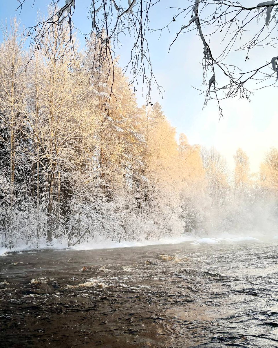 Tänään juhlimme itsenäistä Suomeamme. 💙🤍 Hyvää itsenäisyyspäivää! Trevlig självständighetsdag!