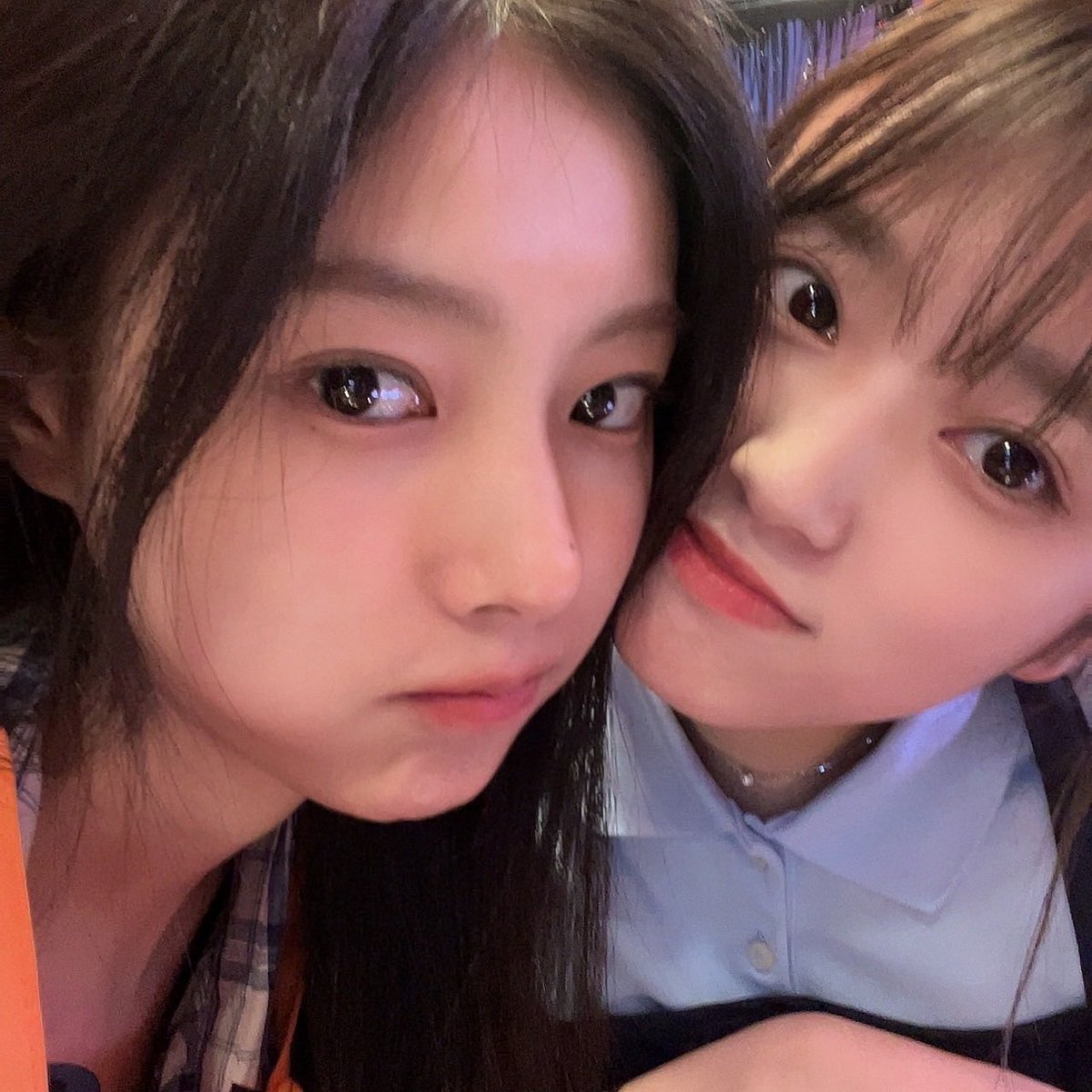 _izone12's tweet photo. https://t.co/cbO6VpGHoh