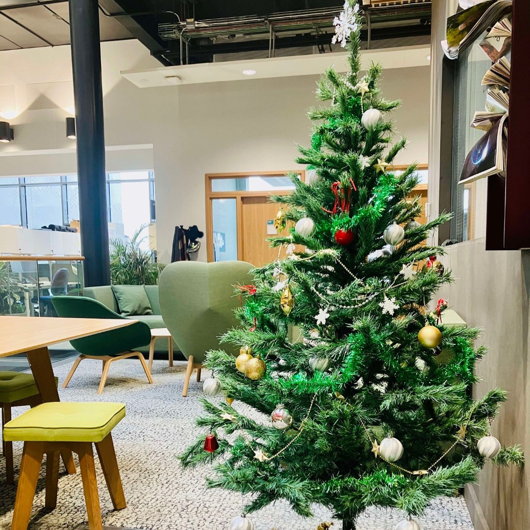ReadingBioSci's tweet photo. 🎄 Our first floor is all decked out for the holidays! 

The countdown to Christmas is on! 🎅✨ 

#HolidayVibes #ChristmasAtUoR #FestiveSeason #ChristmasCountdown #DeckTheHalls https://t.co/vr3aaRWRtU