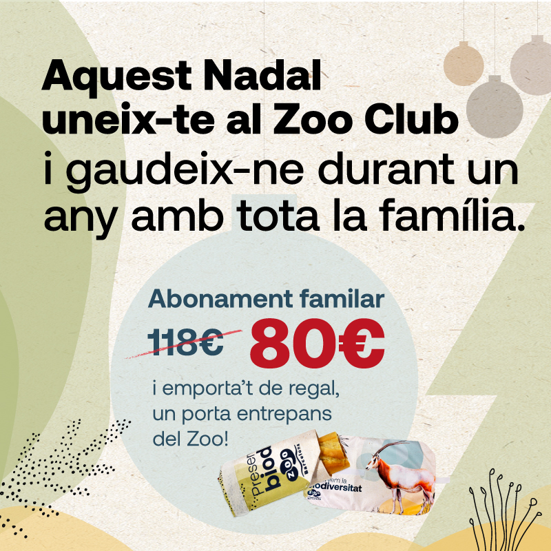 zoobarcelona (@zoobarcelona) on Twitter photo 🧑🎄 Aquest Nadal regala o regala’t Zoo! 
💚 Fes-te membre del #ZooClub amb un descompte especial i emporta’t un portaentrepans sostenible de regal 🎁!
👉 Entrades il·limitades, descomptes, activitats exclusives i molt més! Dona’t d’alta ara: tuit.cat/iimjb
#ViuElZoo 🧑🎄 Aquest Nadal regala o regala’t Zoo! 
💚 Fes-te membre del #ZooClub amb un descompte especial i emporta’t un portaentrepans sostenible de regal 🎁!
👉 Entrades il·limitades, descomptes, activitats exclusives i molt més! Dona’t d’alta ara: tuit.cat/iimjb
#ViuElZoo