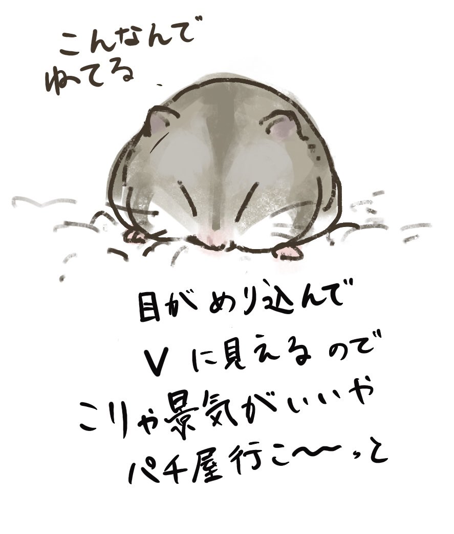 ハムスターの顔について 
