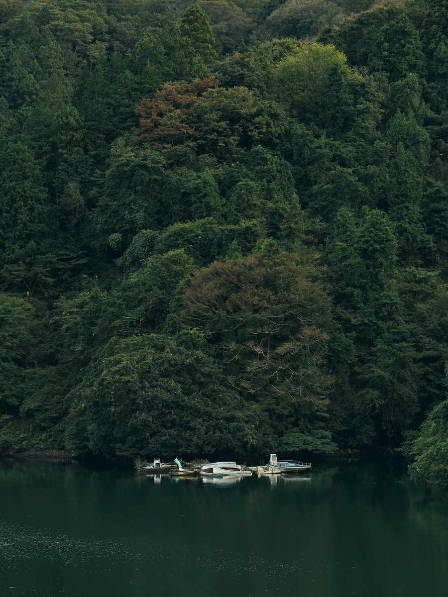 作 (@supersub_aka) on Twitter photo 