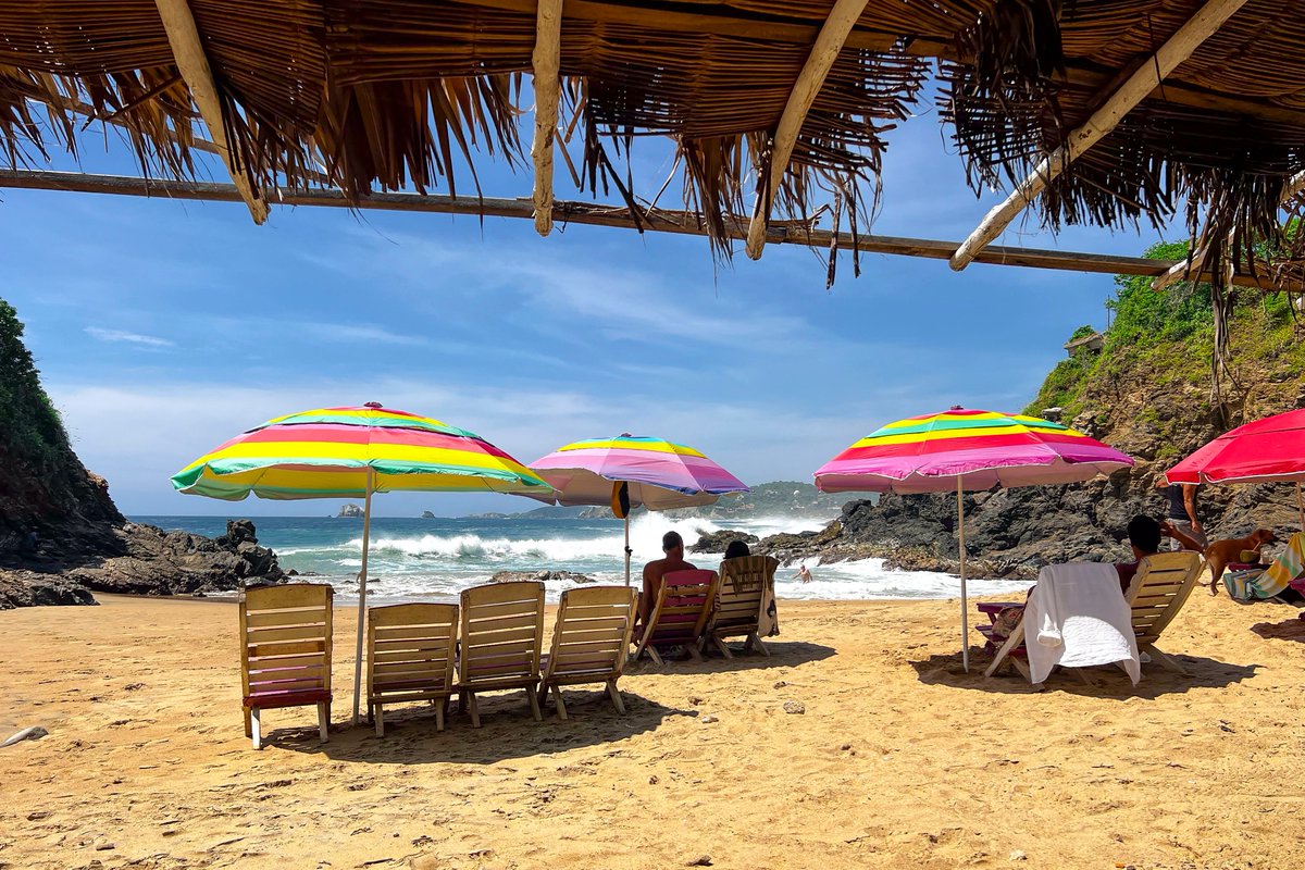 nakedwanderings's tweet photo. We went back to Zipolite! Not just to be naked on the beach and drink coconuts, but also to answer all of your questions! Don't miss the video on Sunday, or watch it already right now on Patreon: https://t.co/MZYaTf1fD2
#naturism #nudsim #travelnude https://t.co/mg1s0WT8bu