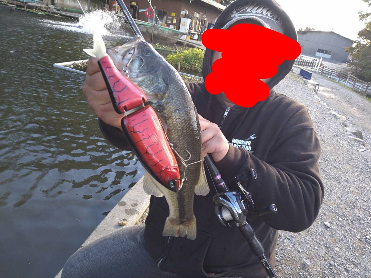 JokerSeraphy's tweet photo. 更にK9フィッシュ×3

ダートからのバサロで
ワンレンジ潜らせて

ブッシュ周りを
ネチネチとヨコヨコしてたら
ちっこいバス君がひったくってた〜！

やっとモモタロス…じゃねえ笑
赤鬼入魂だぜぇ〜！😆  

#DRT
#クラッシュ9
#KLASH9 
#K9
#赤鬼
#リップアウト
#modeB https://t.co/XkTqZyKDBK