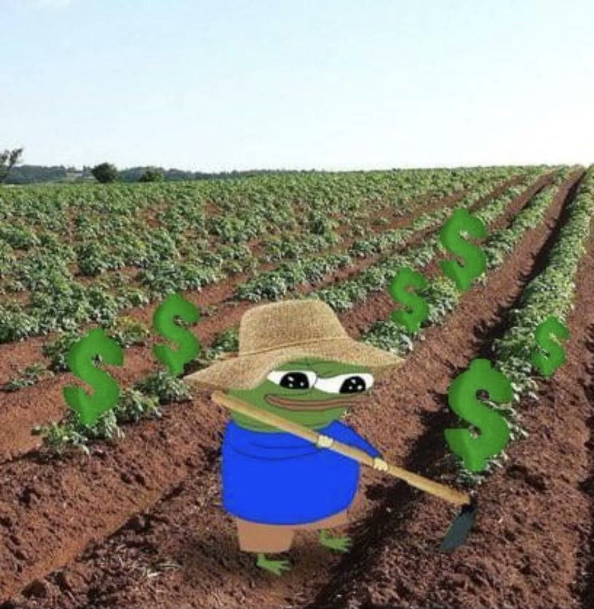 🍉🍉🍉🍉🍉🍉🍉🍉🍉🍉🍉🍉🍉 tweet media