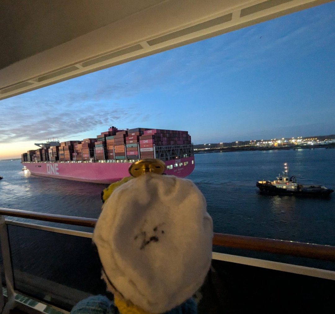 CrazyMCRAngel's tweet image. 🚢 Day 8: Good morning Southampton!

Sadly time to disembark today!

@MSC_Cruises_UK #mscpreziosa #mscpreziosa2024 #msccruise #southampton #vaultboy #vaultboyadventures