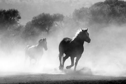 MariaSharo29456's tweet photo. Hi Hello Hola Ola Bonjour Ciao Guten Tag Namaste Salaam https://t.co/KKwdyEBK0j