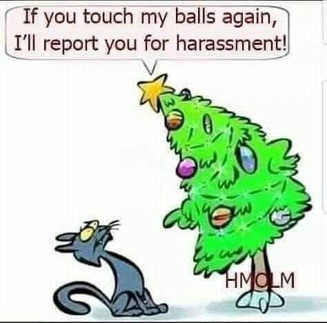 Damian_Quinn666's tweet photo. Good Morning
#chritmastree
#cats #baubles https://t.co/ynA8yDDg9o