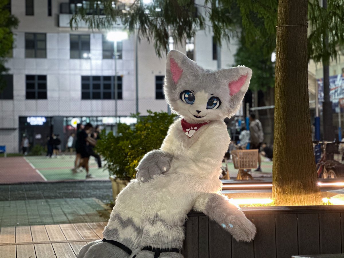 校園夜貓
<a href="/AirouCat620/">Airou🎉</a>