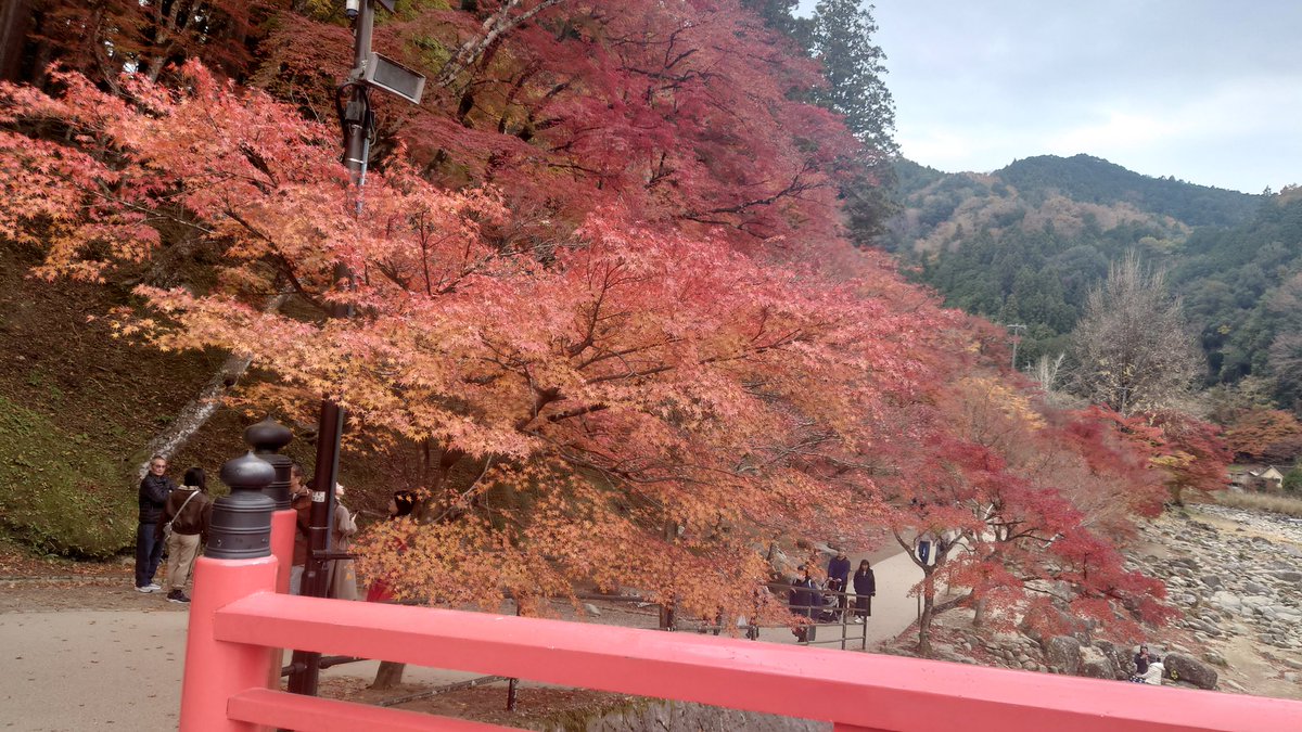 平日は全然空いてますね♪
週末も全然大丈夫そーです🍁
