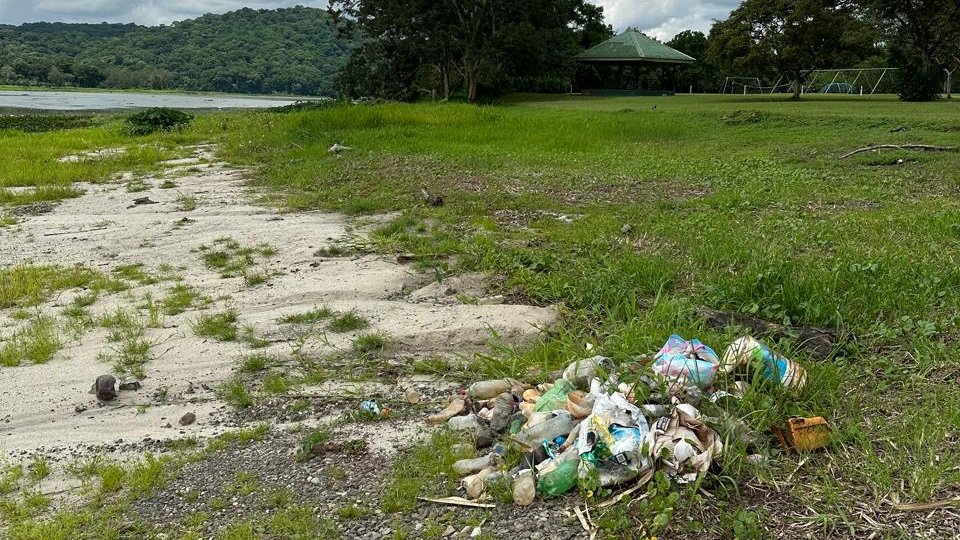 Simon Hornstein tweet media