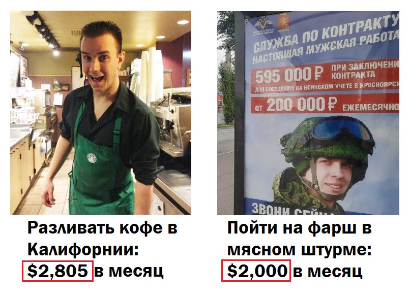 TimurKhorev's tweet image. В Калифорнии любой молодой парень, разливая кофе в Старбаксе, получает от $20/час. На полную ставку в месяц это почти $3000 (уже после налогов)

Работа считается простой, для студентов - чтобы на первую машину заработать, айфон итд

В России люди идут добровольно на мясо за $2000