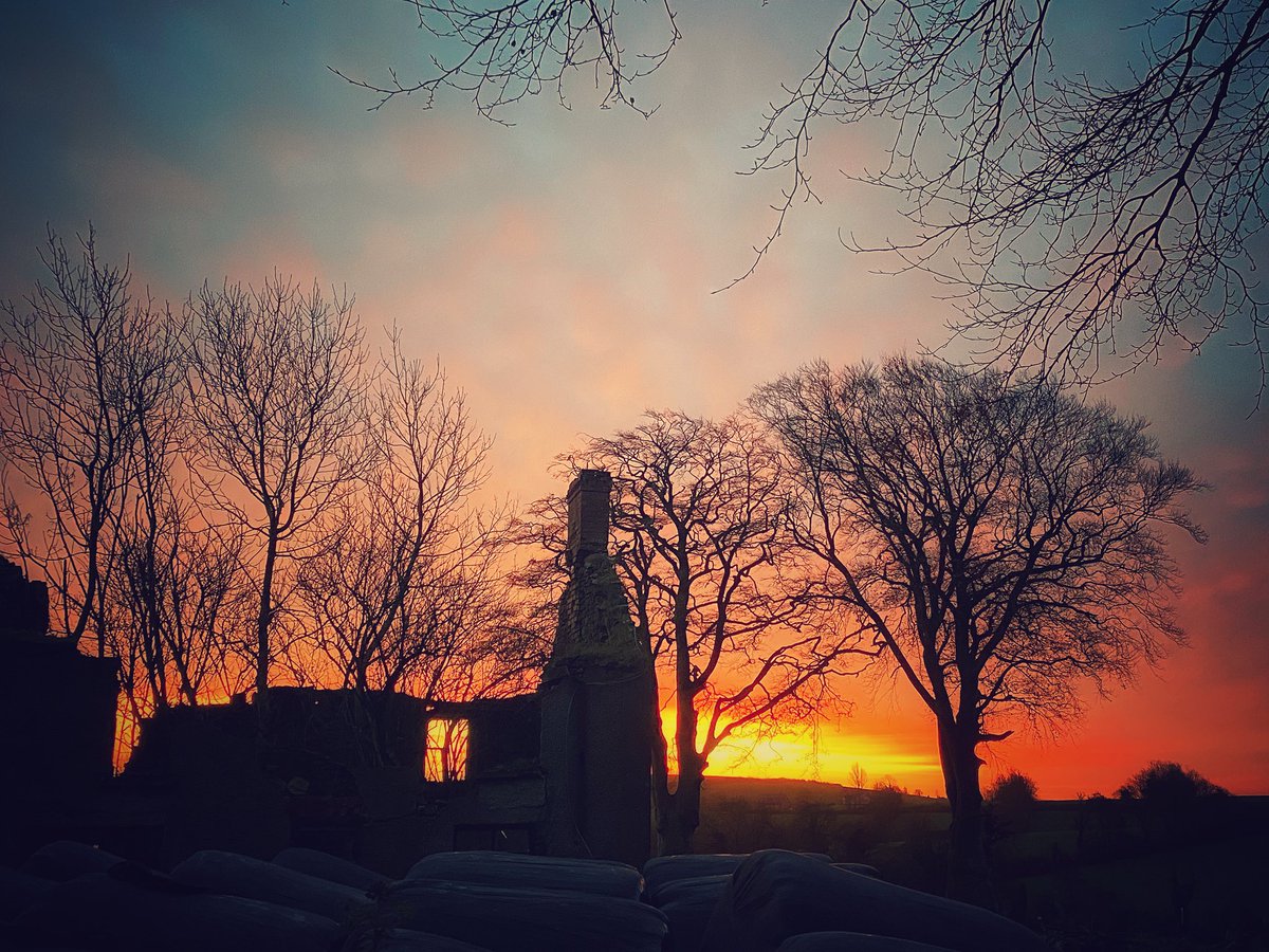 mariedouglas5's tweet photo. Morning flare at an old abandoned farm house #rural Monaghan #lookthroughthewindow https://t.co/2RkecFJ5yR