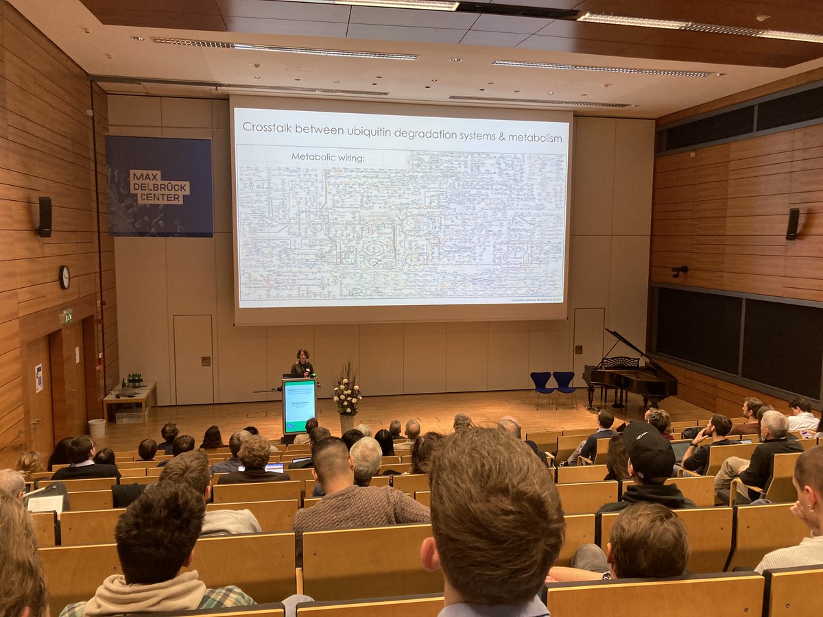 MDC_Berlin's tweet photo. We are underway at the #mdcBerlin on @campusbuch for the scientific part of Thomas Sommer's farewell symposium on "Targeted proteolysis: From basic discovery to clinical application." On stage now: Brenda Schulman, @MPI_Biochem. We have much more to come – stay tuned! #ubiquitin https://t.co/M2rnr5vrcD