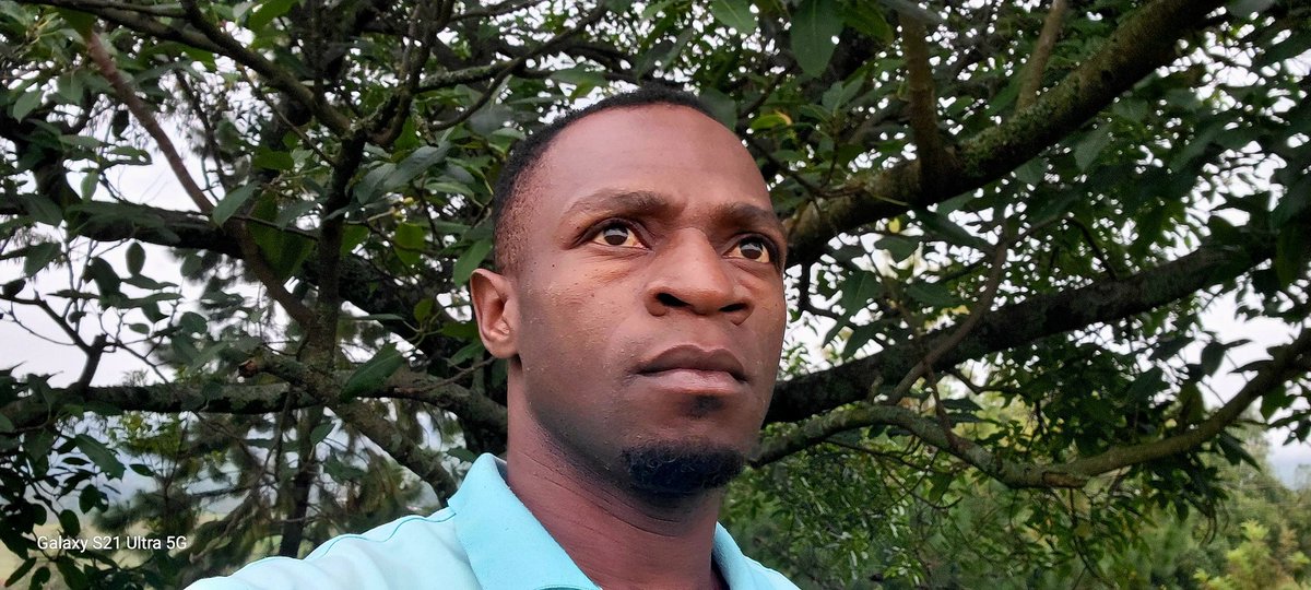 JimmyPith's tweet image. We try again as we focus on the future