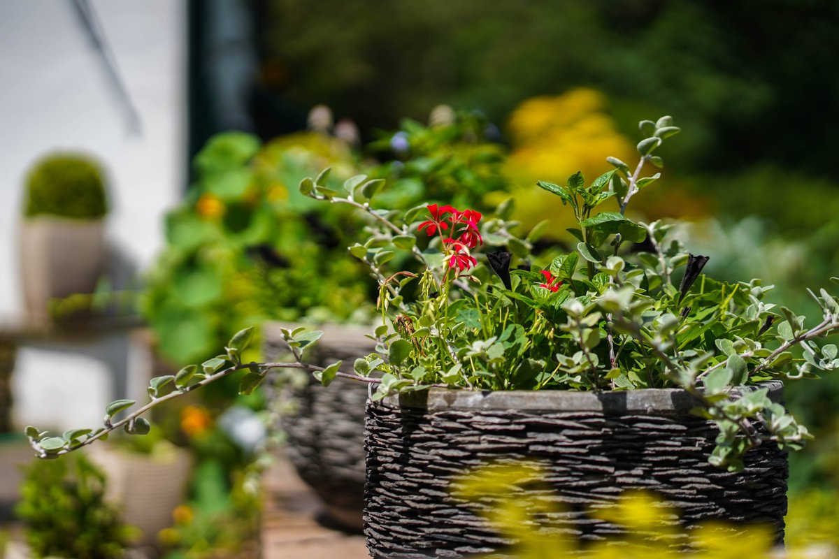 Visit Monmouthshire tweet media