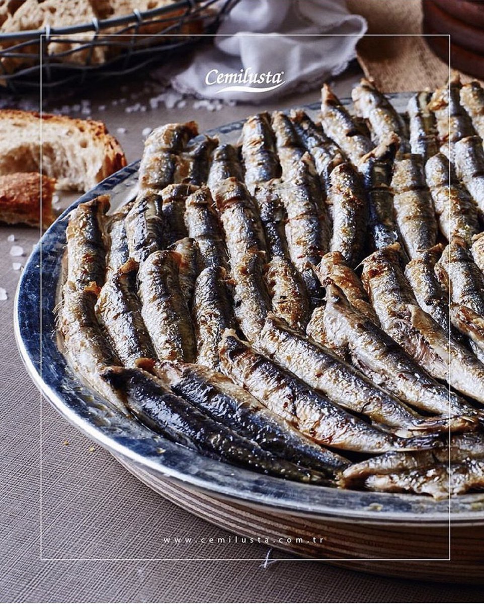 Şimdi Balık Zamanı
#hamsi #trabzon #cemilusta