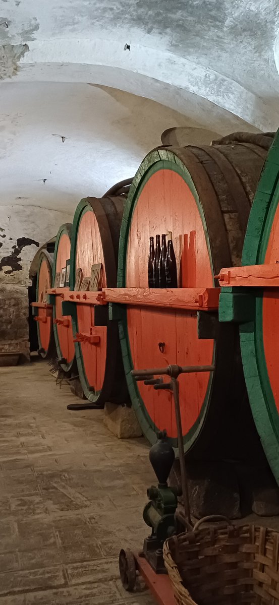 CRobbiano's tweet image. La meraviglia di queste cantiche cantine molto ben conservate dove si trovano bottiglie risalenti al 1894 e che testimoniano il forte legame con la civiltà del vino di questa zona.
#cantine #vino #visitPiemonte