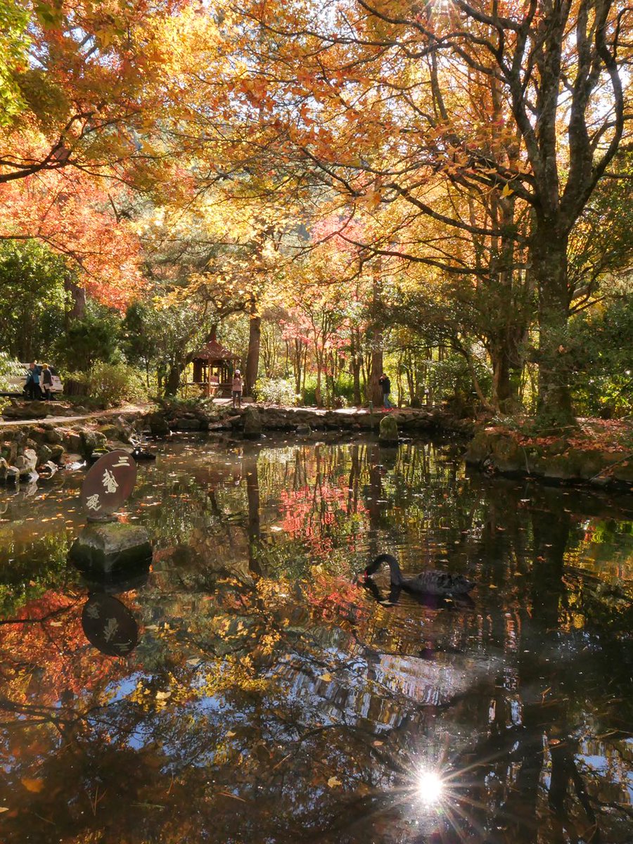 NOTICIASTaiwan's tweet photo. Otoño en la Granja Wuling https://t.co/YCIbLWfRdR https://t.co/5sDtD88twi