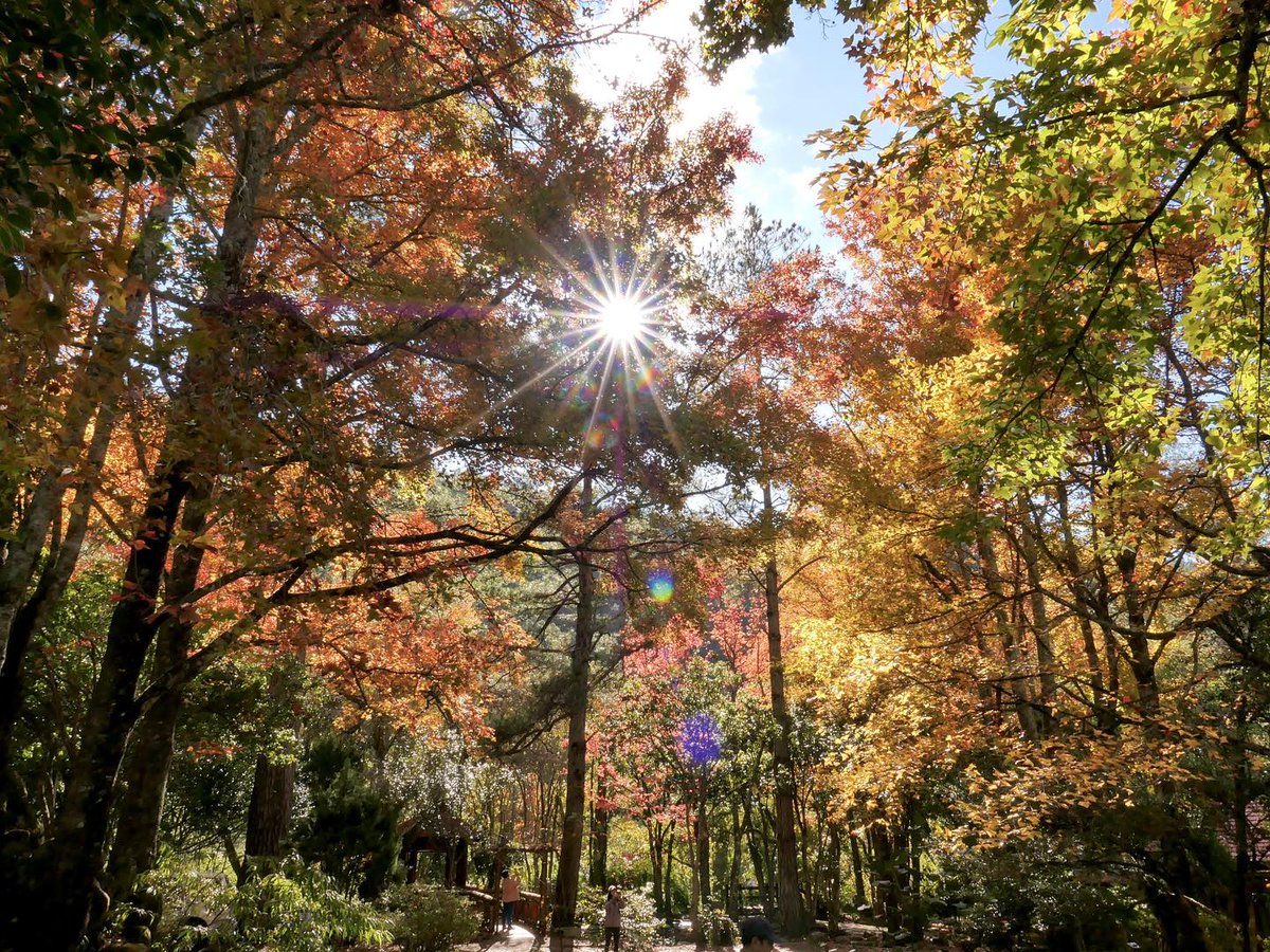 NOTICIASTaiwan's tweet photo. Otoño en la Granja Wuling https://t.co/YCIbLWfRdR https://t.co/5sDtD88twi
