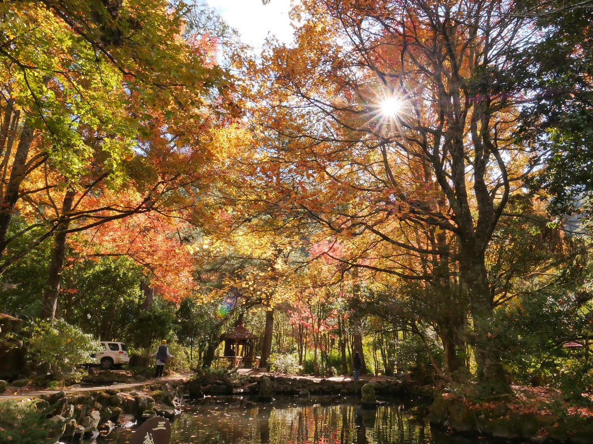 NOTICIASTaiwan's tweet photo. Otoño en la Granja Wuling https://t.co/YCIbLWfRdR https://t.co/5sDtD88twi
