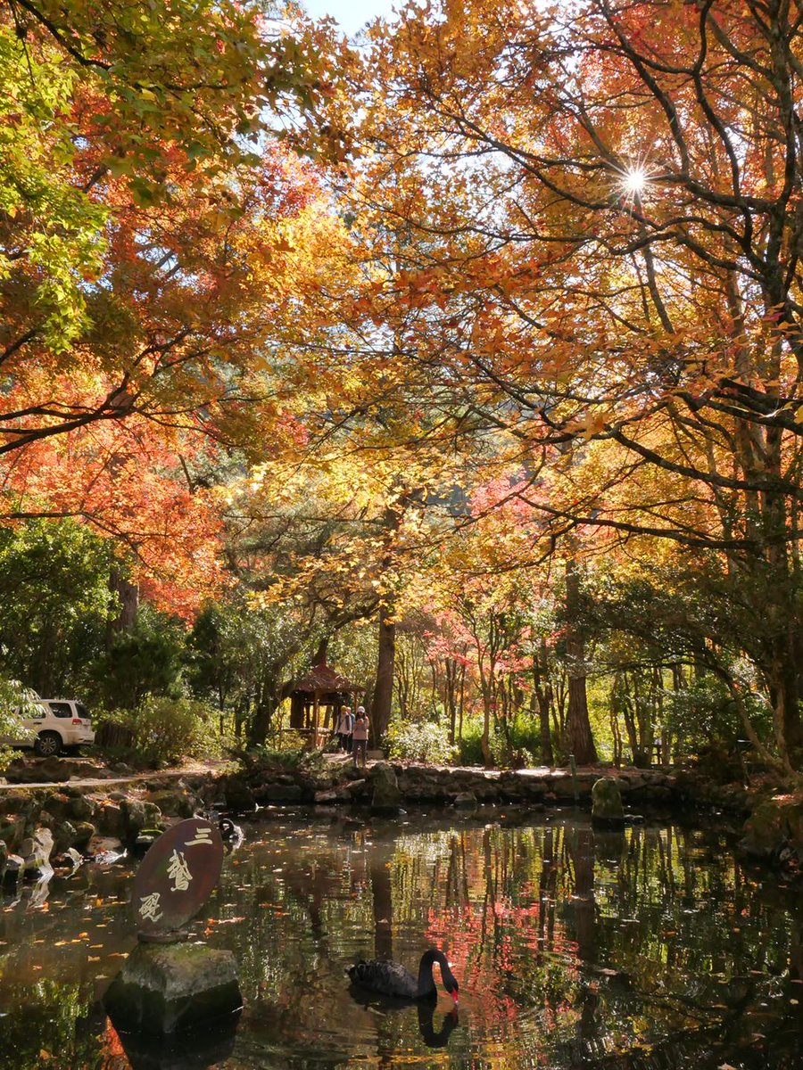 NOTICIASTaiwan's tweet photo. Otoño en la Granja Wuling https://t.co/YCIbLWfRdR https://t.co/5sDtD88twi