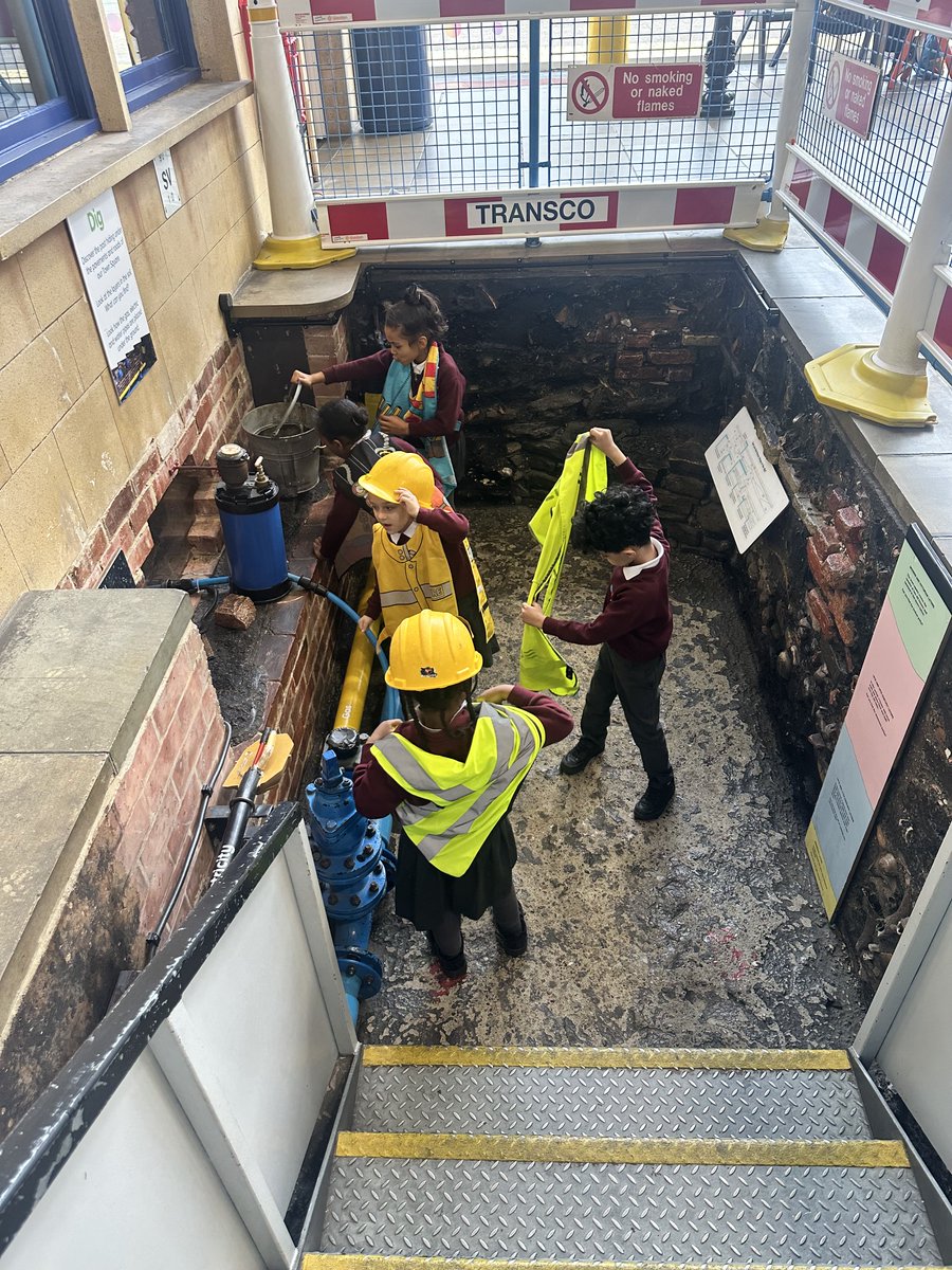 Webster Primary School tweet media