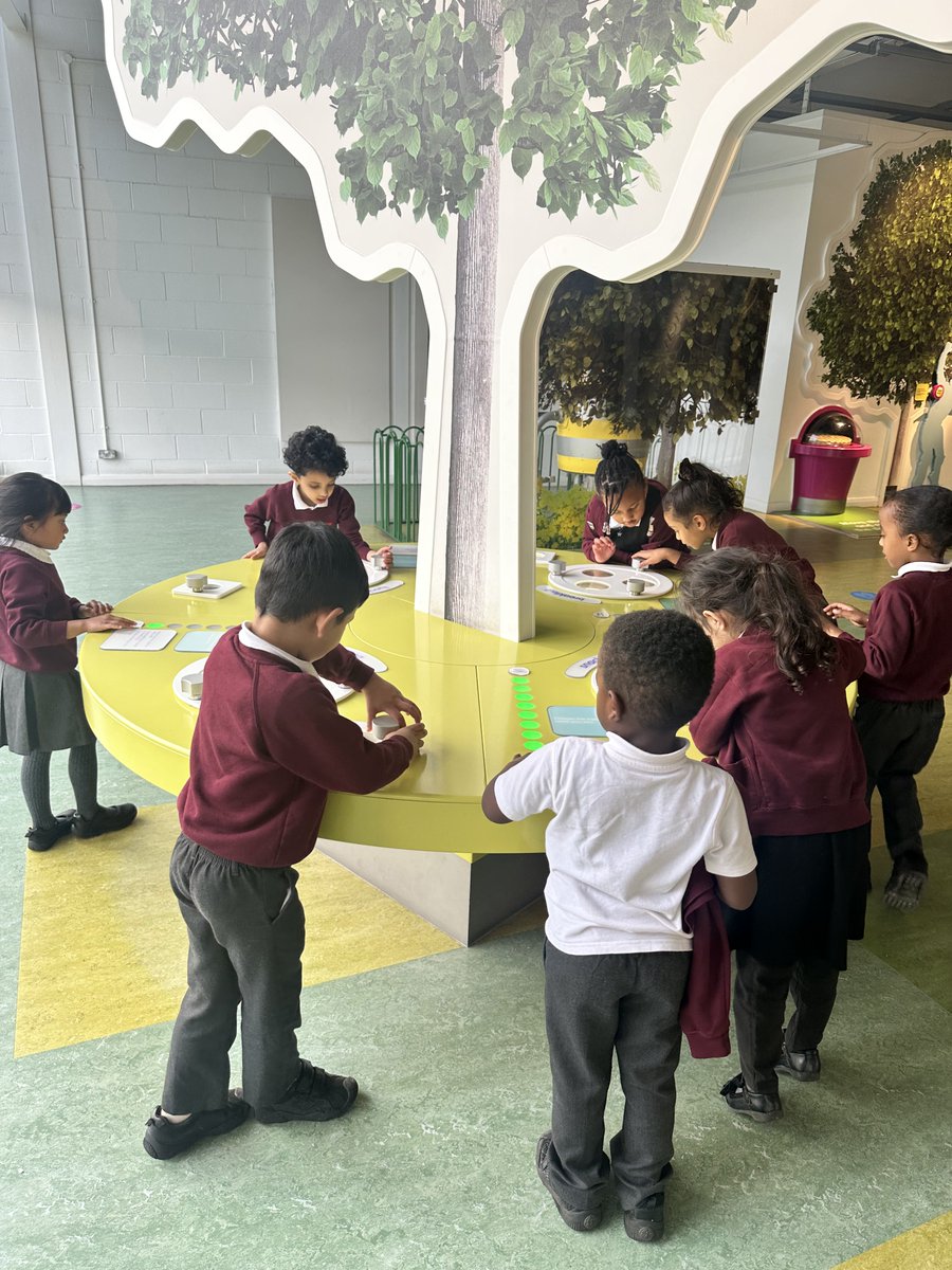 Webster Primary School tweet media