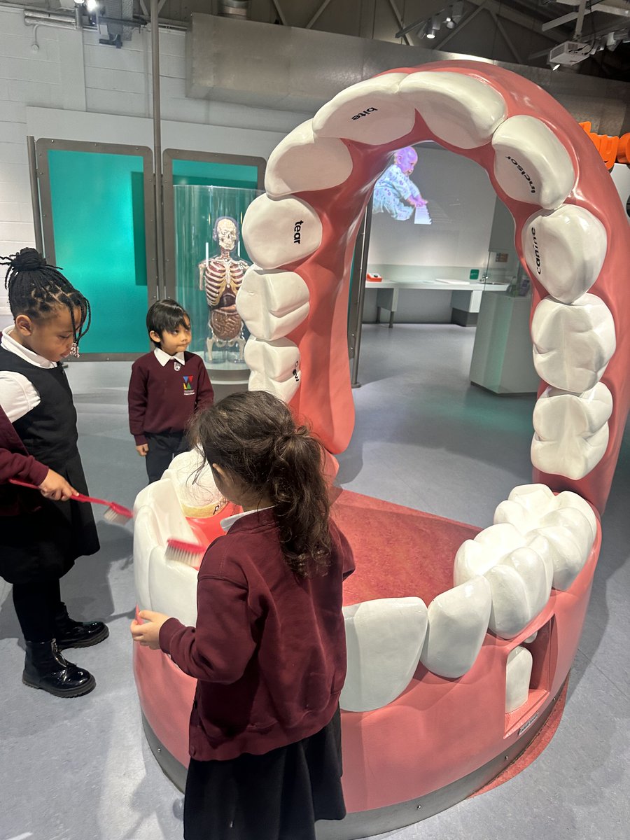 Webster Primary School tweet media