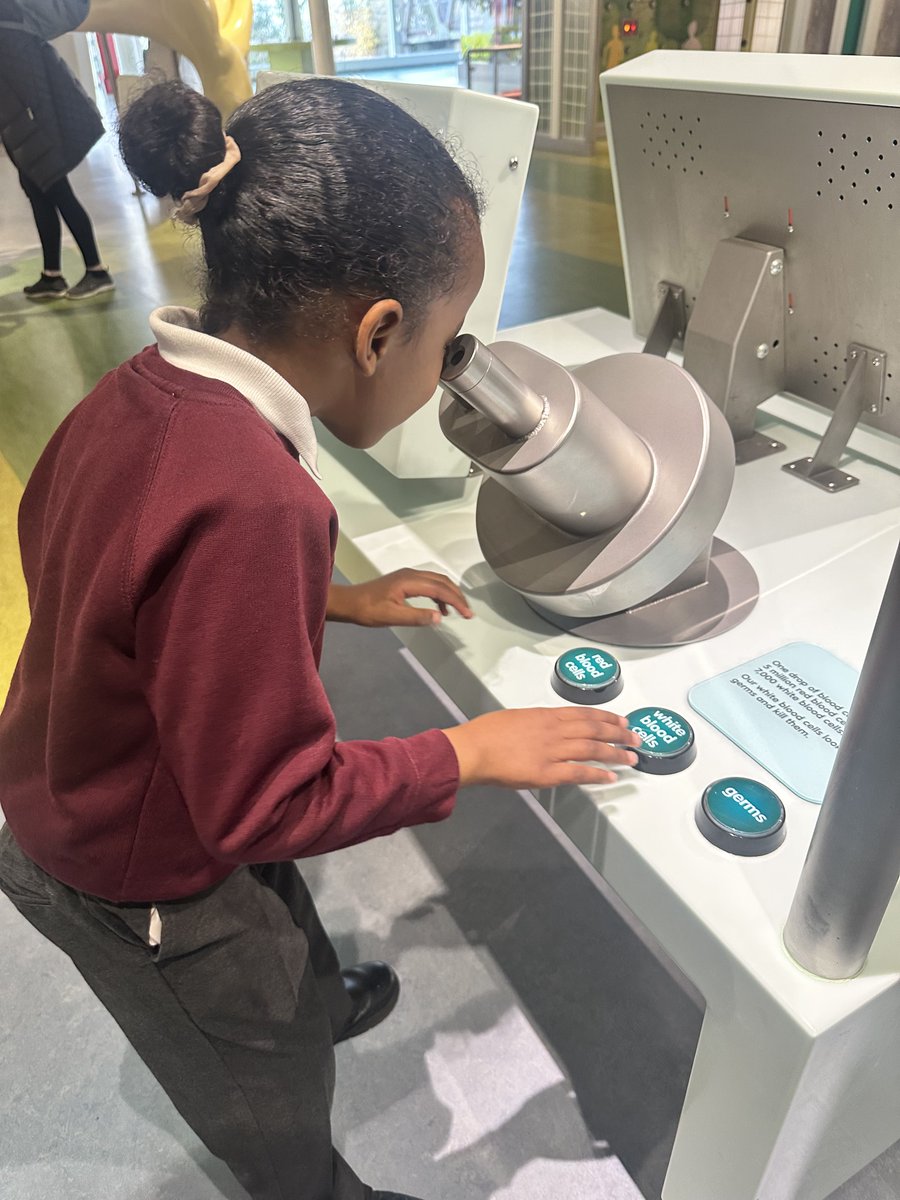 Webster Primary School tweet media