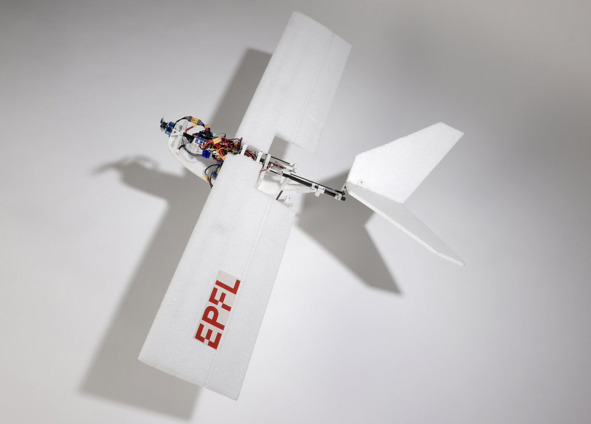 EPFL School of Engineering (@epflengineering) on Twitter photo A #bioinspired #drone developed in <a href="/EPFL_en/">EPFL</a> 's Lab of Intelligent Systems can walk, hop & jump into flight with the aid of birdlike legs, expanding the range of potential environments accessible to unmanned aerial vehicles! actu.epfl.ch/news/bird-insp… <a href="/DFloreano/">Dario Floreano</a> <a href="/BIOROB_EPFL/">Auke Ijspeert</a> <a href="/Nature/">nature</a> A #bioinspired #drone developed in <a href="/EPFL_en/">EPFL</a> 's Lab of Intelligent Systems can walk, hop & jump into flight with the aid of birdlike legs, expanding the range of potential environments accessible to unmanned aerial vehicles! actu.epfl.ch/news/bird-insp… <a href="/DFloreano/">Dario Floreano</a> <a href="/BIOROB_EPFL/">Auke Ijspeert</a> <a href="/Nature/">nature</a>