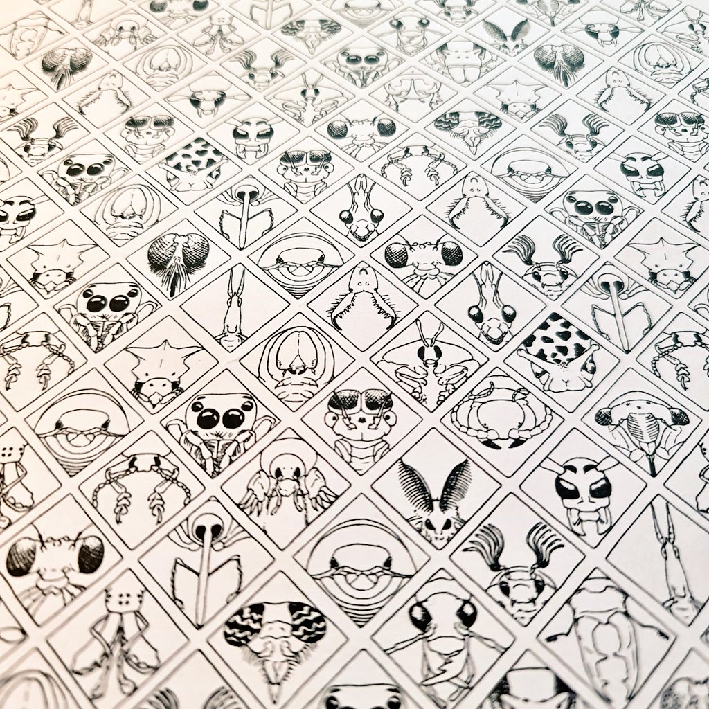 Svenja Meyer (@fminifera) on Twitter photo New #infinitepattern. This time a different concept with these small squares that make it super flexible. The range of this assembly is terrestrial (European) #invertebrates.
I call it 'faces of diversity' 🐌🦋🐛🐝🪲🦗🕷🪰 New #infinitepattern. This time a different concept with these small squares that make it super flexible. The range of this assembly is terrestrial (European) #invertebrates.
I call it 'faces of diversity' 🐌🦋🐛🐝🪲🦗🕷🪰