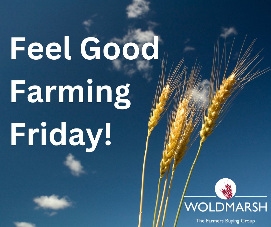 Woldmarsh's tweet photo. I think it's time for some Friday fun! What's been the highlight of your week this week? 👇 https://t.co/RAzPmSTBJS