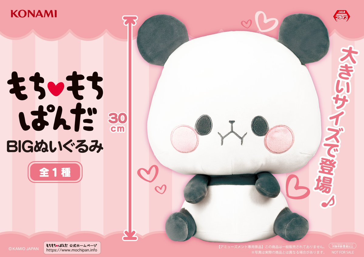 🐼12月12日入荷予定🐼 『#もちもちぱんだ BIGぬいぐるみ』 『もちもち