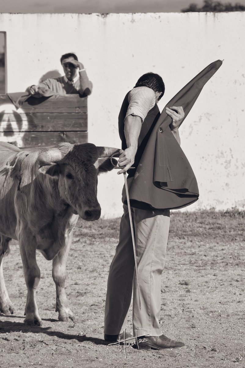 Viceversa 🌀

__
📸 <a href="/huertas_melanie/">Mélanie Huertas</a>