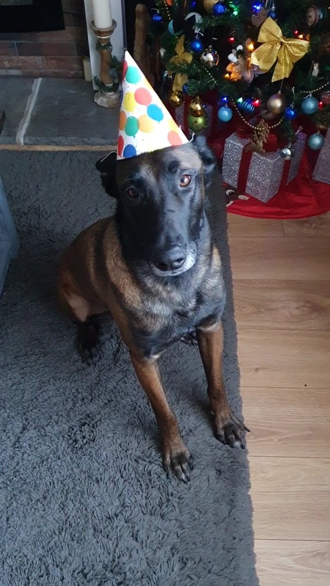 Good Day Twitter Folk ☕️🌤

I'm 4 Today 🥳

#TeamMali ❤️