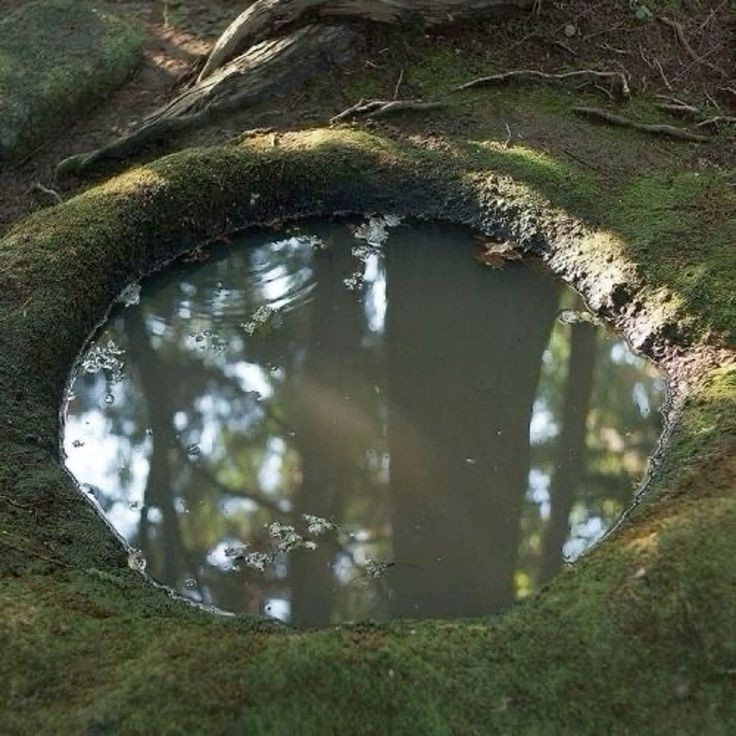 𓍊˖ ࣪⊹ (@goblinc0re) on Twitter photo 