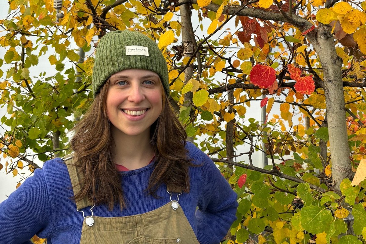 Trees for Life tweet media