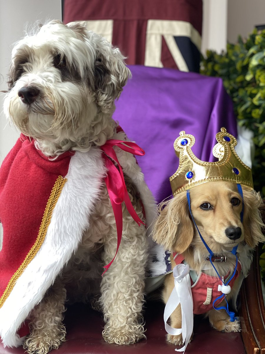 BeMoreBob tweet media