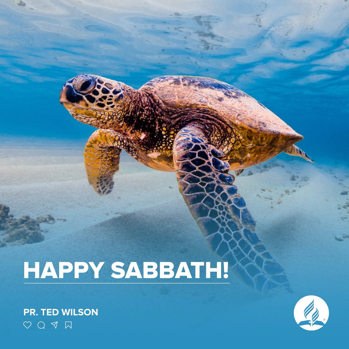 pastortedwilson's tweet photo. Happy Sabbath!

#Sabbath #HappySabbath https://t.co/cloL3hlnR1