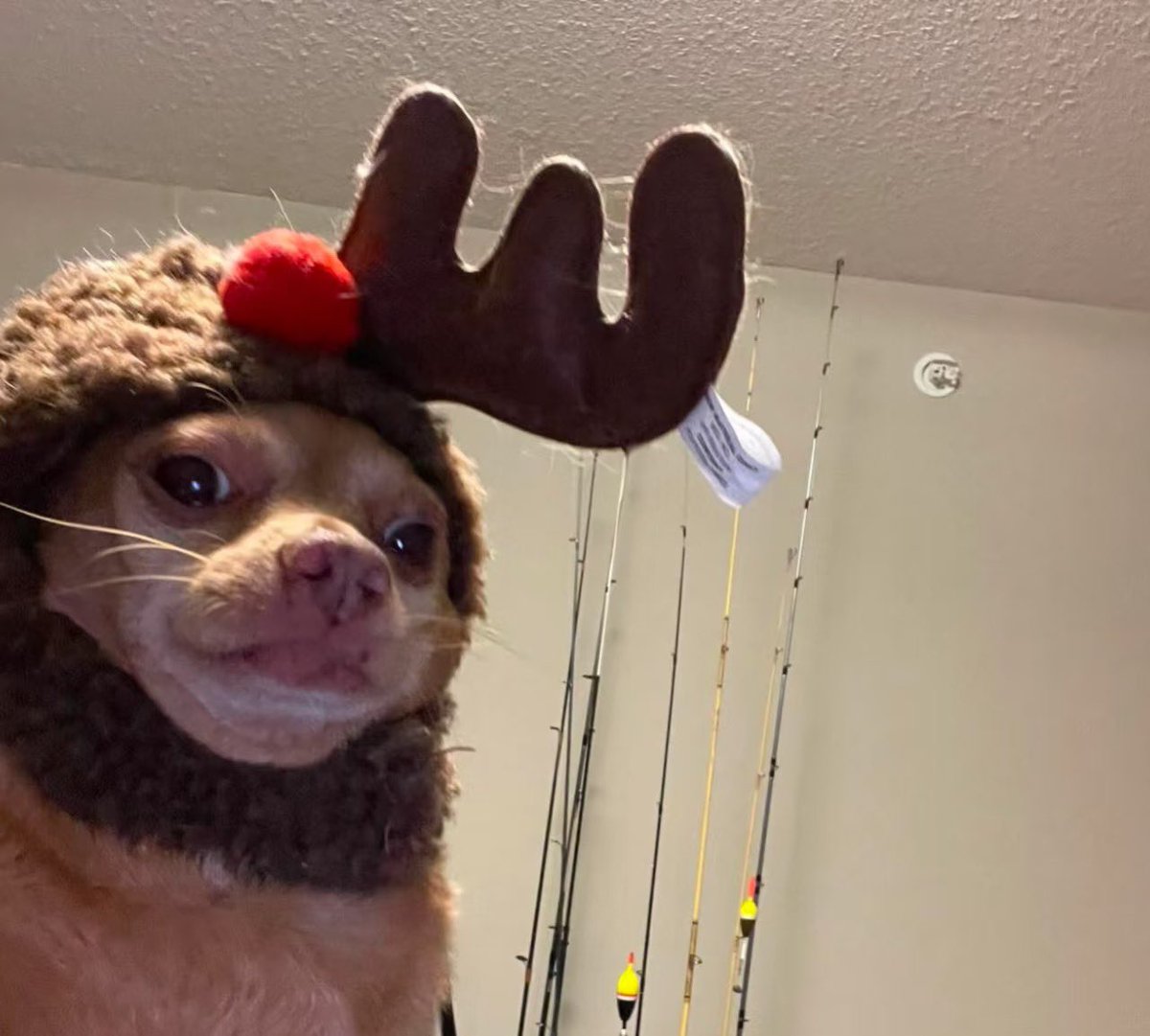 twaniimals's tweet image. 