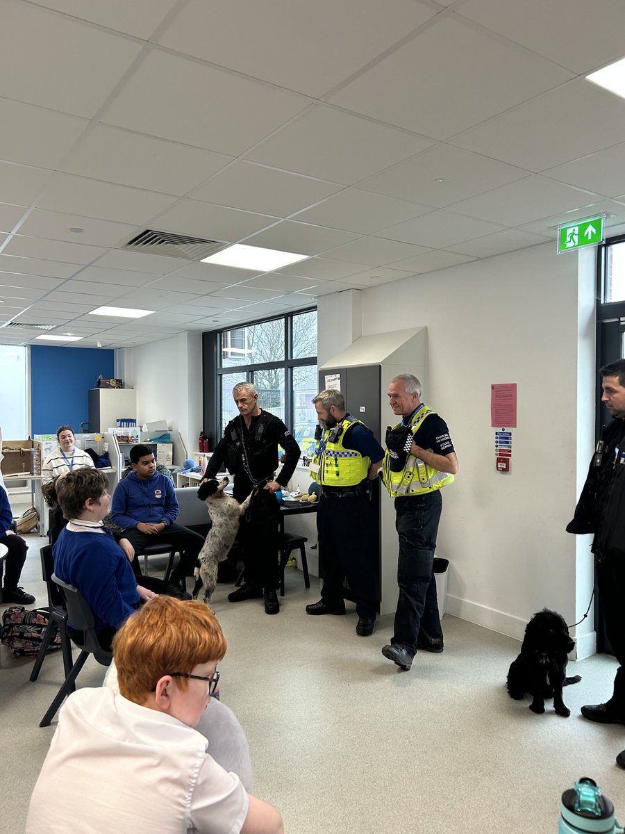 Whitmore High School Autism Base tweet media