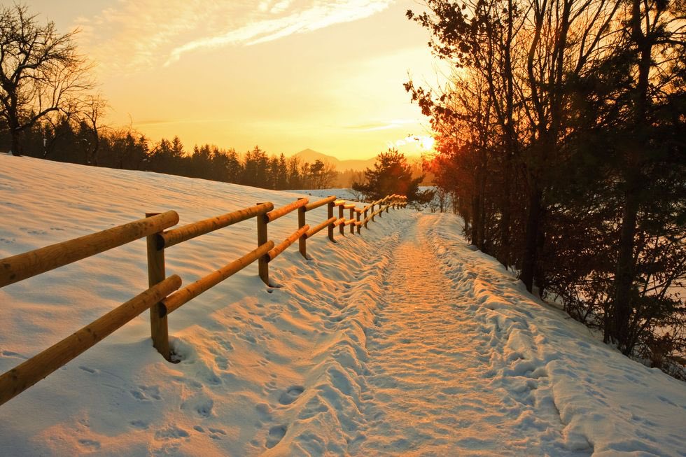 Deuteronomy 31:8 The LORD himself goes before you and will be with you; he will never leave you nor forsake you. Do not be afraid; do not be discouraged.”
